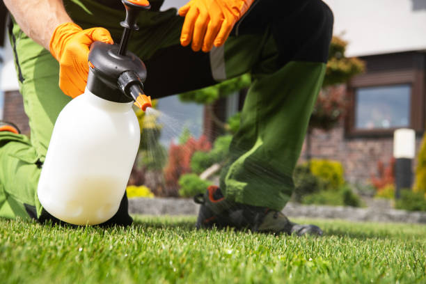 Reliable Lincoln Park, CO Pest Control Solutions
